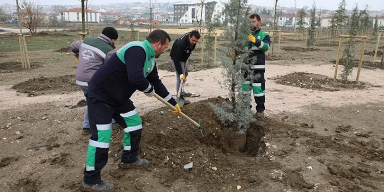 Engelliler için 167 fidan dikildi