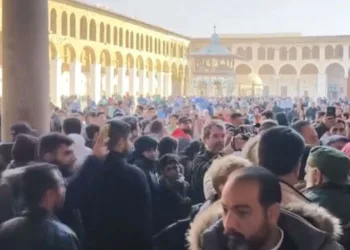Tavuk yumurtası üretimi Ekim ayında yüzde 2,9 arttı