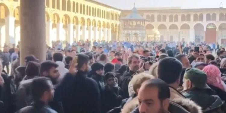 Tavuk yumurtası üretimi Ekim ayında yüzde 2,9 arttı