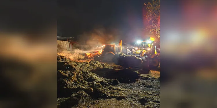 Taksici üniversite öğrencisini öldüren şüpheli yakalandı