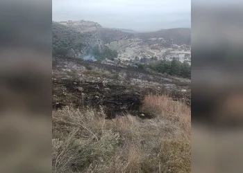 Oksijen yerine azot verilmişti; minik Ege hayata tutunamadı