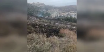 Oksijen yerine azot verilmişti; minik Ege hayata tutunamadı