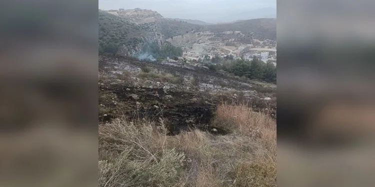 Oksijen yerine azot verilmişti; minik Ege hayata tutunamadı