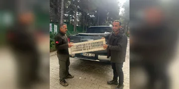 Bilecik’te meydana gelen trafik kazasında 1 kişi yaralandı