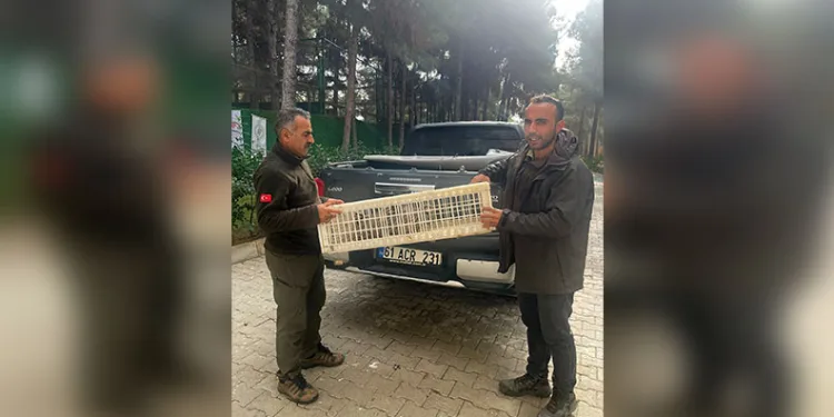 Bilecik’te meydana gelen trafik kazasında 1 kişi yaralandı