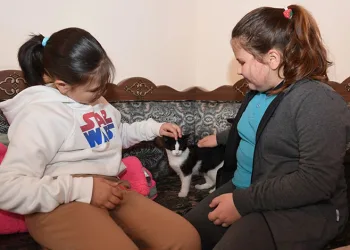 Öğrenciler hem kitap okuyor hem kedileri seviyor