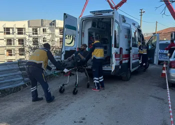 Artvin’de meyve yüklü kamyon dereye yuvarlandı: 1 yaralı