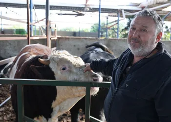 Seyir halindeki cip alev aldı