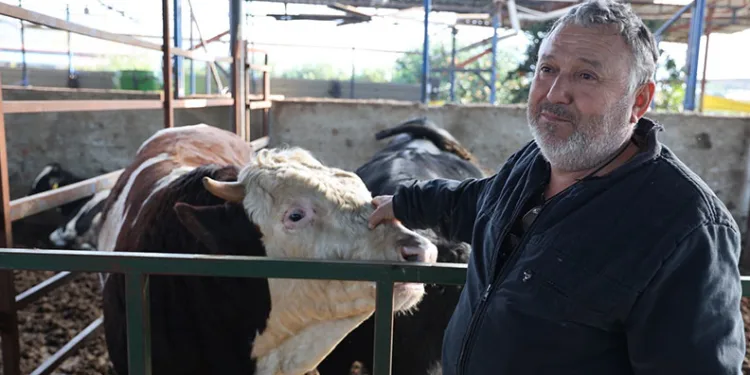 Seyir halindeki cip alev aldı