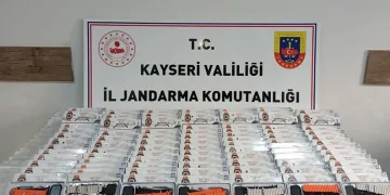 Kontrolden çıkan araç üzüm bağına uçtu