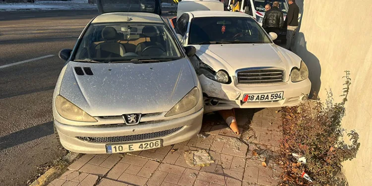 Sinop’ta 24 bin 980 makaron ele geçirildi