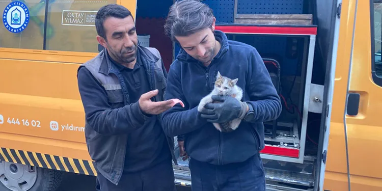 Kaputa sıkışan yavru kedi kurtarıldı