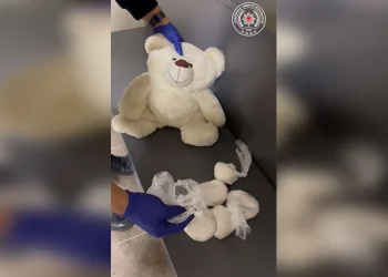 FETÖ’ye üye olmaktan aranan şahsı JASAT yakaladı