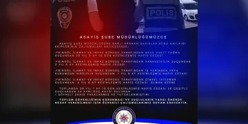 Oksijen yerine azot verilmişti; minik Ege hayata tutunamadı