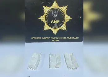 Van’da refüje çarpan otomobilin sürücüsü yarandı