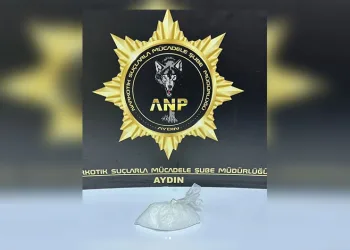 Trenin çarptığı yaya hayatını kaybetti