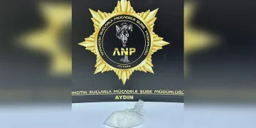 Trenin çarptığı yaya hayatını kaybetti