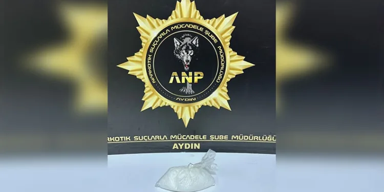 Trenin çarptığı yaya hayatını kaybetti