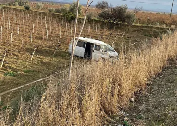 Kontrolden çıkan araç üzüm bağına uçtu