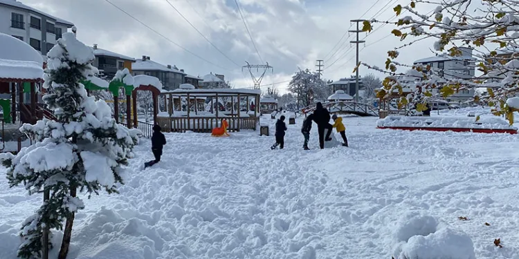 Bolu’da 4 ilçede kar tatili
