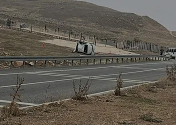 Domuz avında ayı saldırısına uğrayan eski muhtar ağır yaralandı