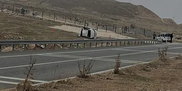 Domuz avında ayı saldırısına uğrayan eski muhtar ağır yaralandı