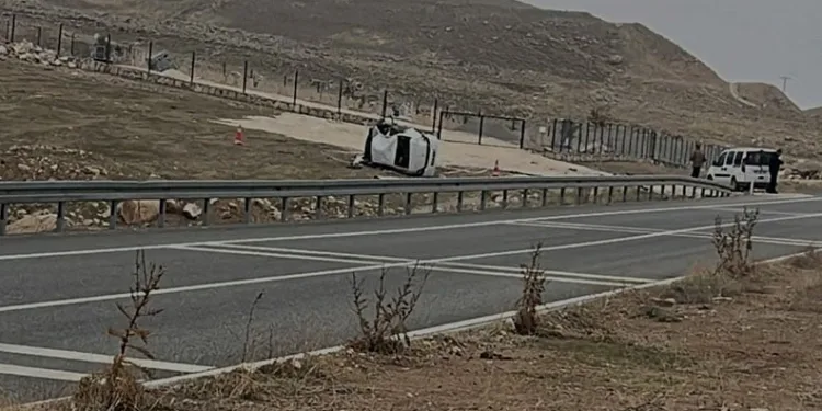 Domuz avında ayı saldırısına uğrayan eski muhtar ağır yaralandı