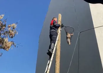 Aksaray’da bıçaklı kavga: 1 yaralı