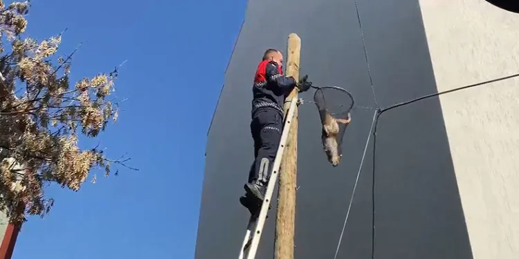 Aksaray’da bıçaklı kavga: 1 yaralı