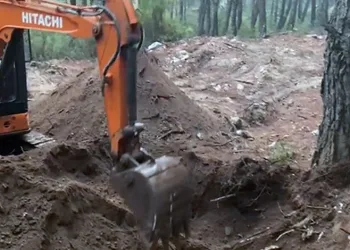 Domuz avında ayı saldırısına uğrayan eski muhtar ağır yaralandı