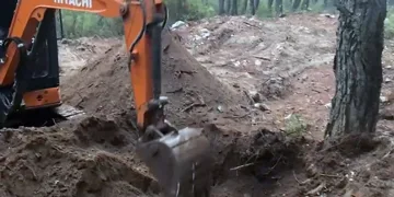 Domuz avında ayı saldırısına uğrayan eski muhtar ağır yaralandı