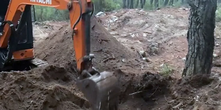 Domuz avında ayı saldırısına uğrayan eski muhtar ağır yaralandı