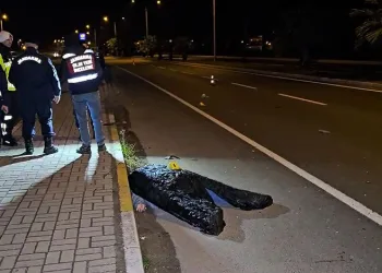 Çorlu’da apartman yangını: Balkonda mahsur kalan şahsı itfaiye kurtardı
