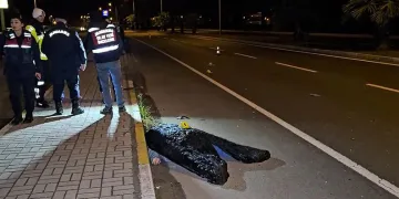 Çorlu’da apartman yangını: Balkonda mahsur kalan şahsı itfaiye kurtardı