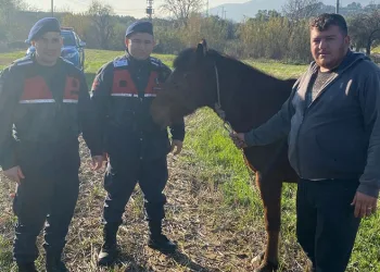 Didim’de sigara kaçakçılığı operasyonu: 2 gözaltı