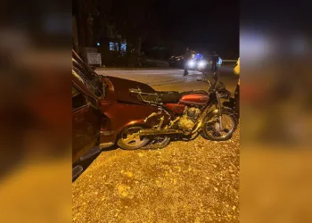 Artvin’de meyve yüklü kamyon dereye yuvarlandı: 1 yaralı