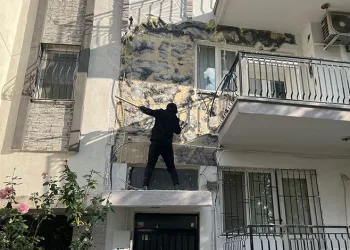 Kontrolden çıkan araç üzüm bağına uçtu