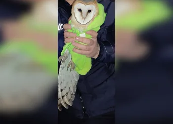 Ordu’nun 2024 yılı asayiş raporu: 24 bin 386 olay yaşandı
