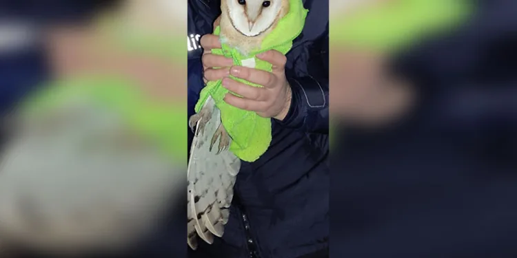 Ordu’nun 2024 yılı asayiş raporu: 24 bin 386 olay yaşandı
