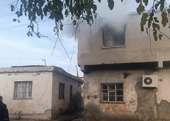 Domuz avında ayı saldırısına uğrayan eski muhtar ağır yaralandı