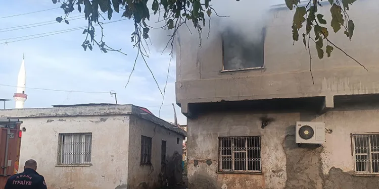 Domuz avında ayı saldırısına uğrayan eski muhtar ağır yaralandı