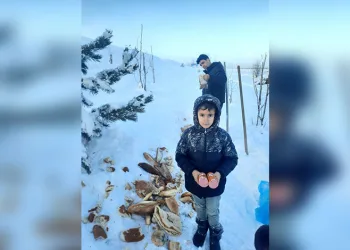 Bayburt’ta öğrenciler hayvanlar için doğaya yiyecek bıraktı