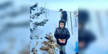 Bayburt’ta öğrenciler hayvanlar için doğaya yiyecek bıraktı
