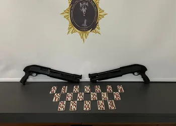 Samsun’da bir evde çok sayıda silah ve mühimmat ele geçirildi