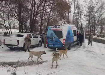 Samsun’da bir evde çok sayıda silah ve mühimmat ele geçirildi