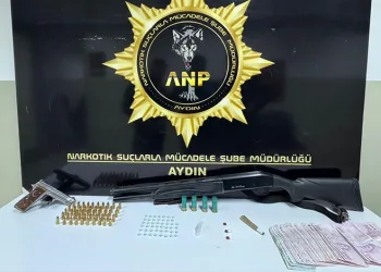 Van’da refüje çarpan otomobilin sürücüsü yarandı
