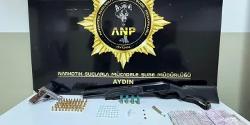 Van’da refüje çarpan otomobilin sürücüsü yarandı