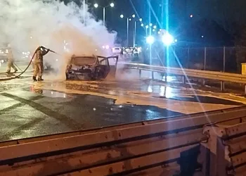 Samsun’da bir evde çok sayıda silah ve mühimmat ele geçirildi