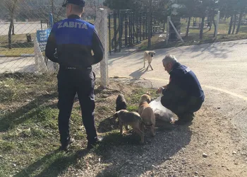 Niğde’de uyuşturucu operasyonu: 4 tutuklama