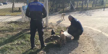 Niğde’de uyuşturucu operasyonu: 4 tutuklama